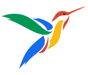 Google Hummingbird Update