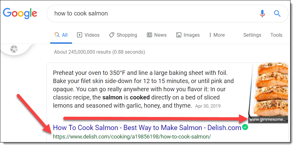 Google Search for “how to cook salmon” - BFO