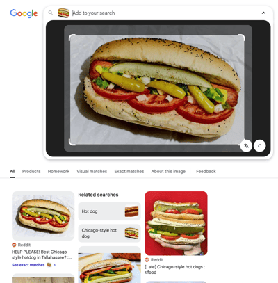 Example of visual search in Google using a chicago style hot dog