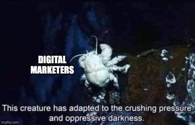 google sge meme with crab