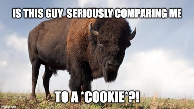 buffalo-third-party-cookie
