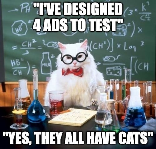 cat ad testing