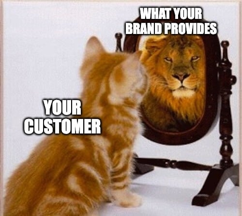 cat high-consideration meme relevance
