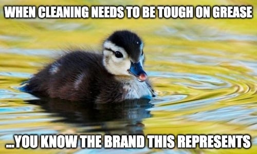 dish soap visibility meme