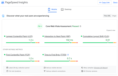 example of google site speed report for ecommerce website-1