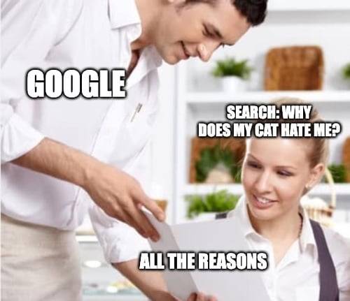 google-menu-cat-meme