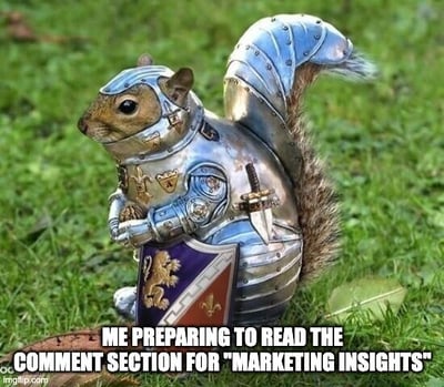 squirrel wearing armor to gather marketing insights