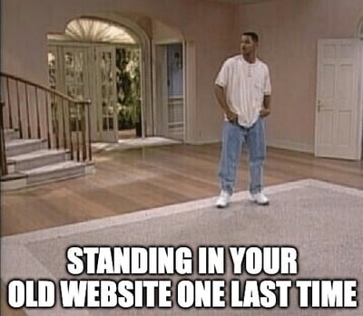 old-website-meme