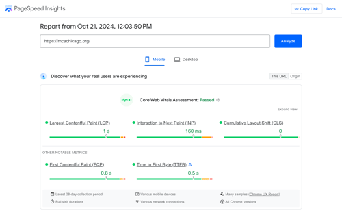 Google PageSpeed Insights for museum of contemporary art chicago